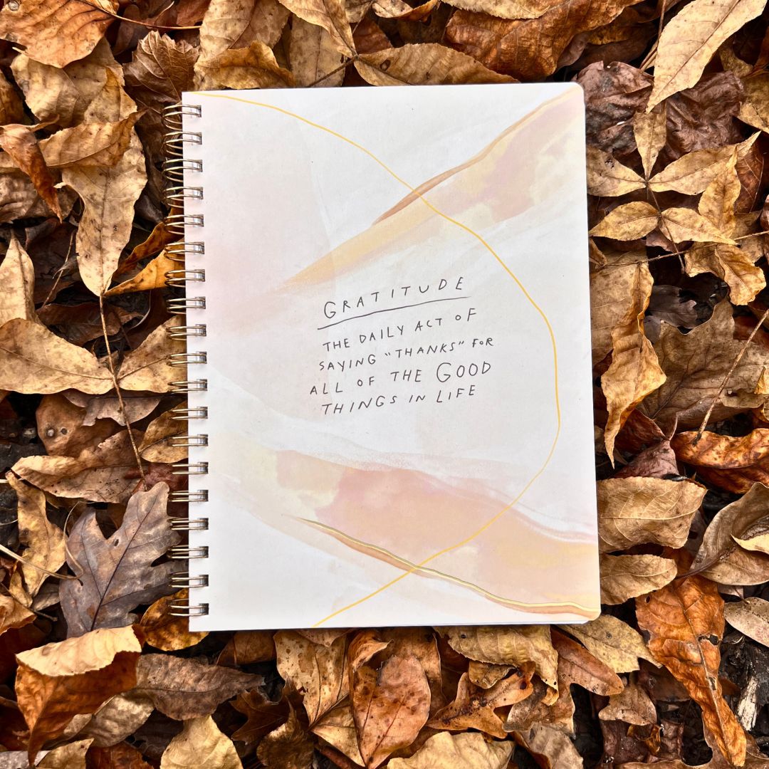 Spiral Binding Writing Prompts Gratitude Journal Kit – Doodle Hog