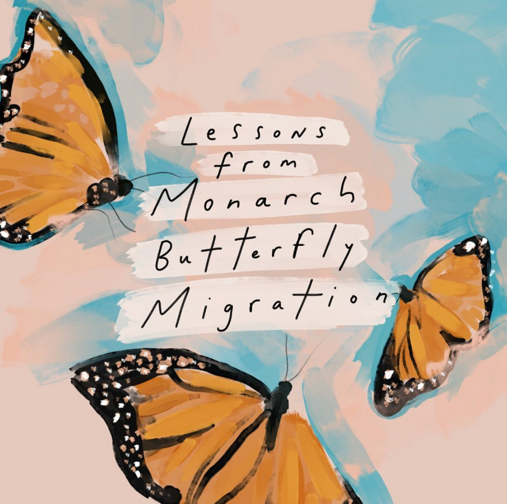 Lessons from Monarch Butterfly Migration